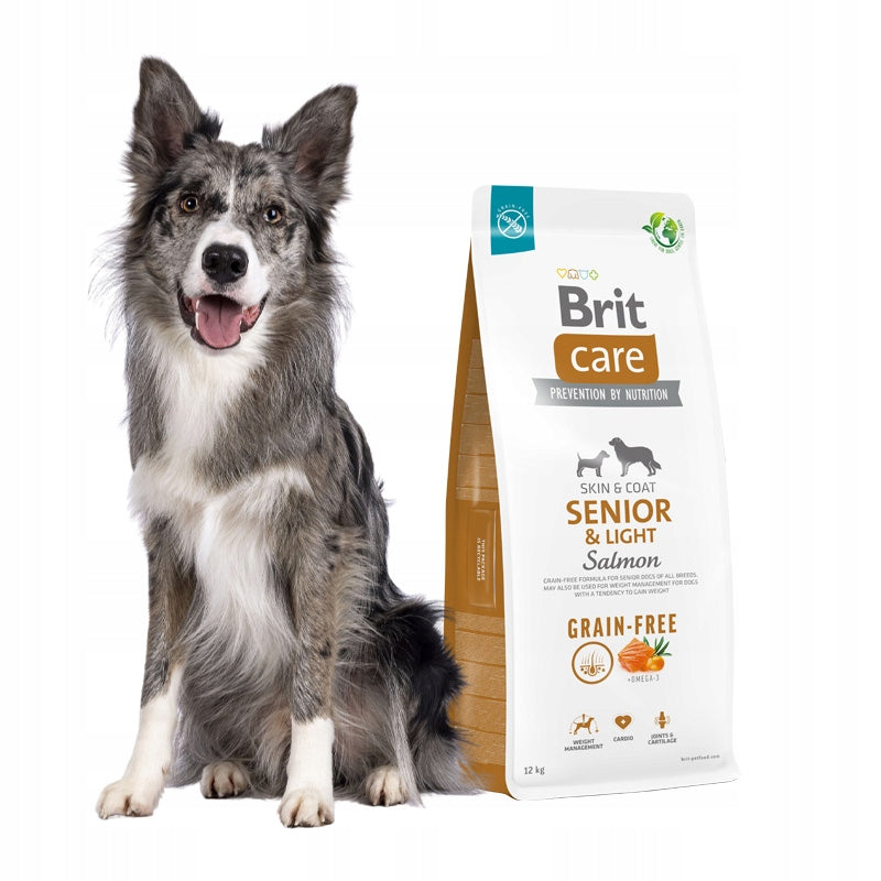BRIT Grain-free Senior & Light Salmon dry dog food salmon 12 kg Packaging status original
