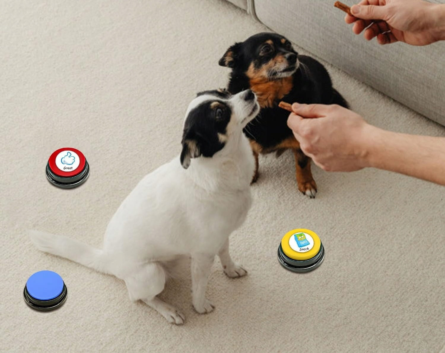 BUTTONS FOR DOG ANIMAL TRAINING COMMUNICATION 4PCS SOUND RECORDING Brand no brand