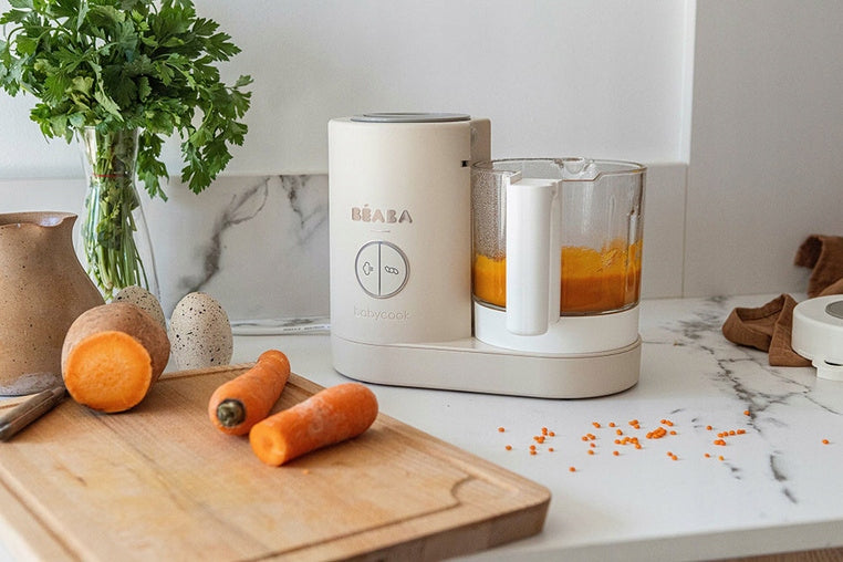 Beaba Babycook Neo Clay Steaming Mixing Food Heating EAN (GTIN) 3384349167196
