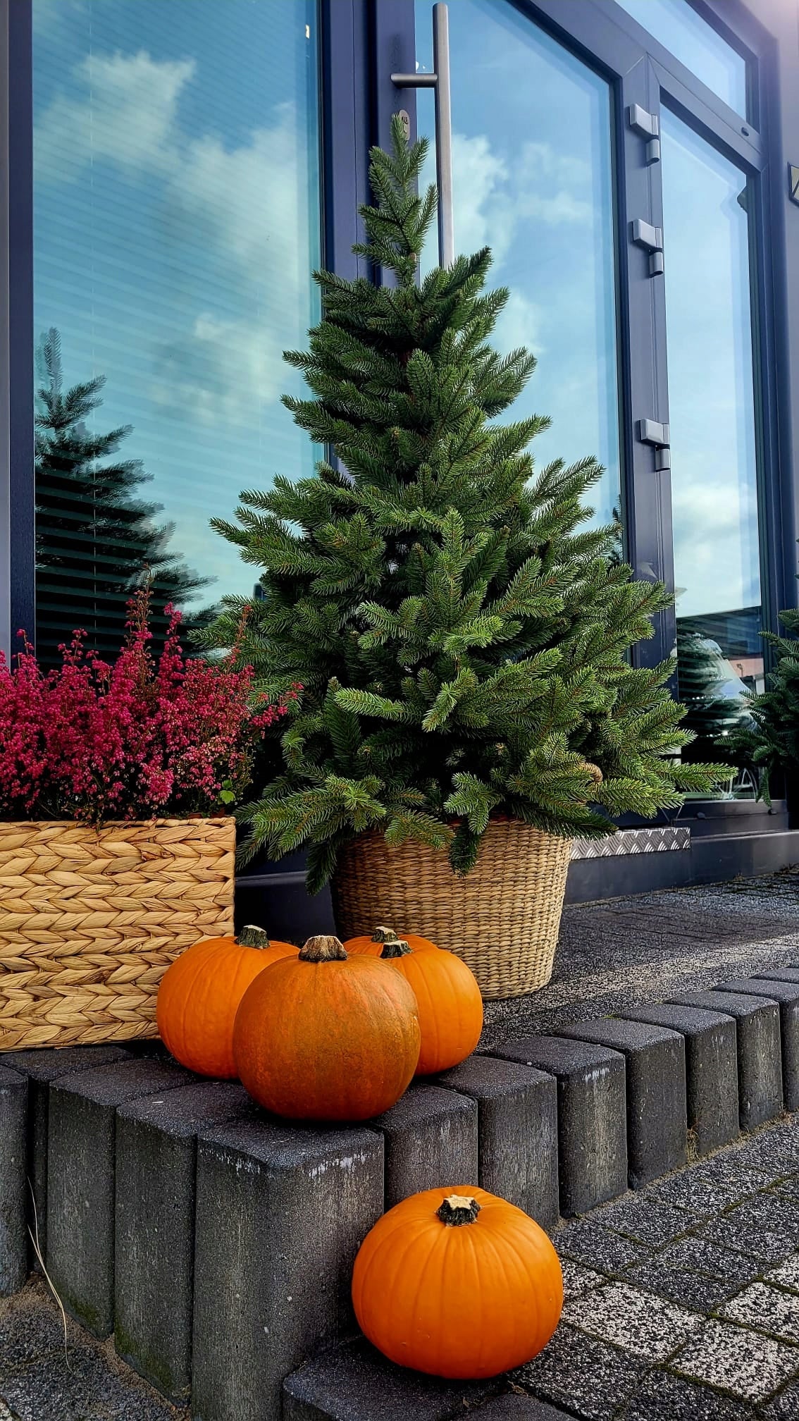 Beautiful Christmas tree artificial Caucasian spruce PE in a pot like a living 110 cm