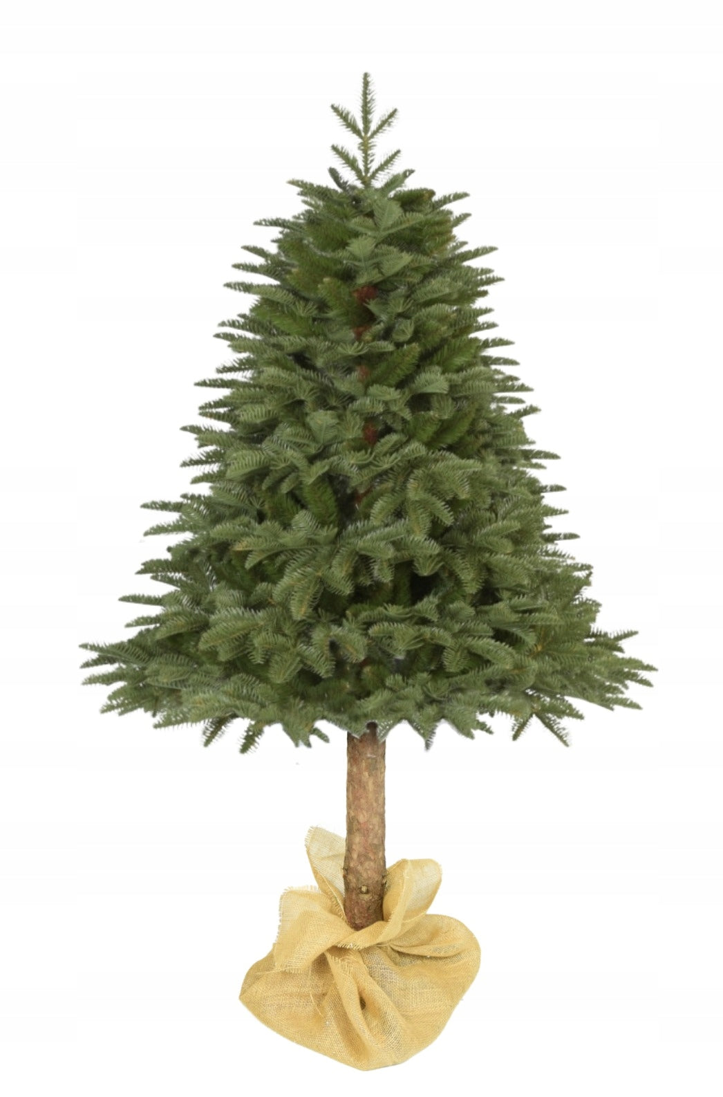 Beautiful artificial Christmas tree on the trunk of Fir Noble as a living PE 220 cm