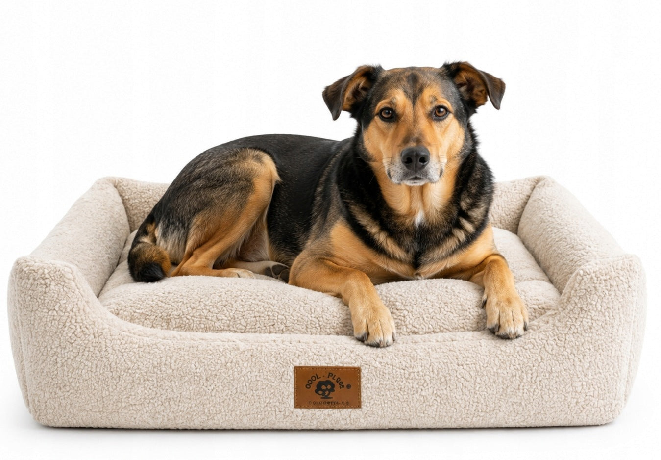 Bed bed couch dog bed couch 95x75 LAMB boucle