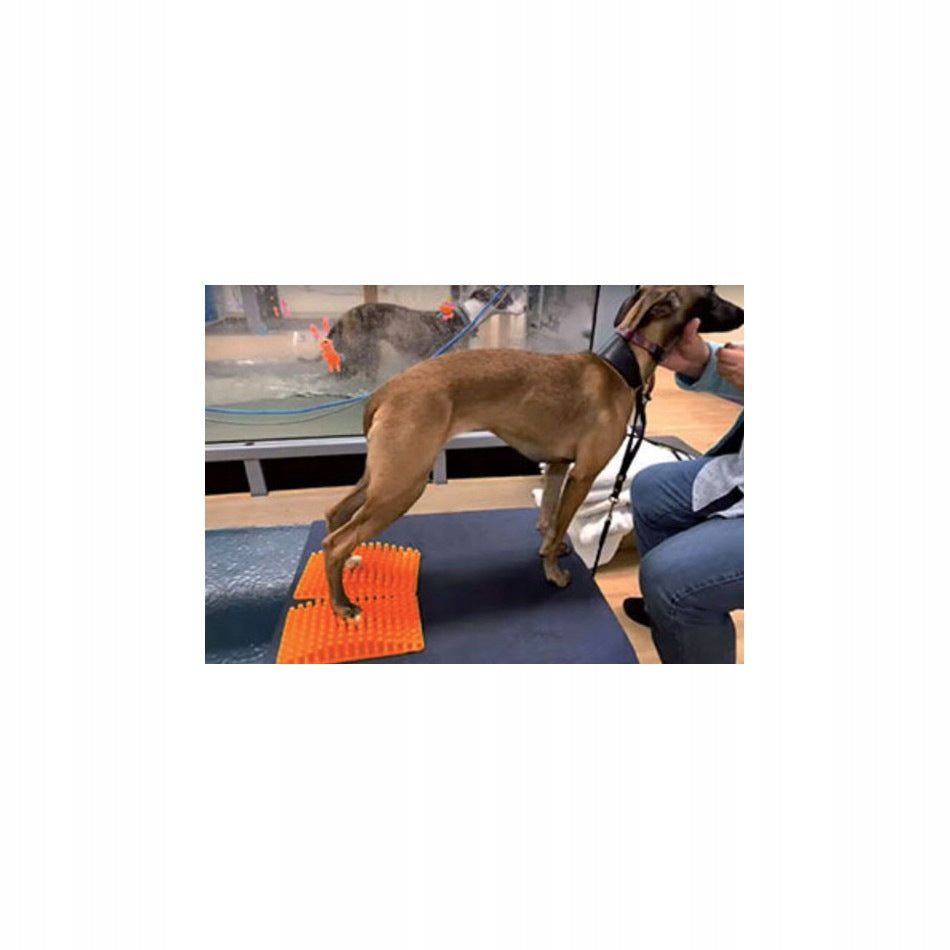 Bene-Feet - sensory mat for animals Brand Klubben