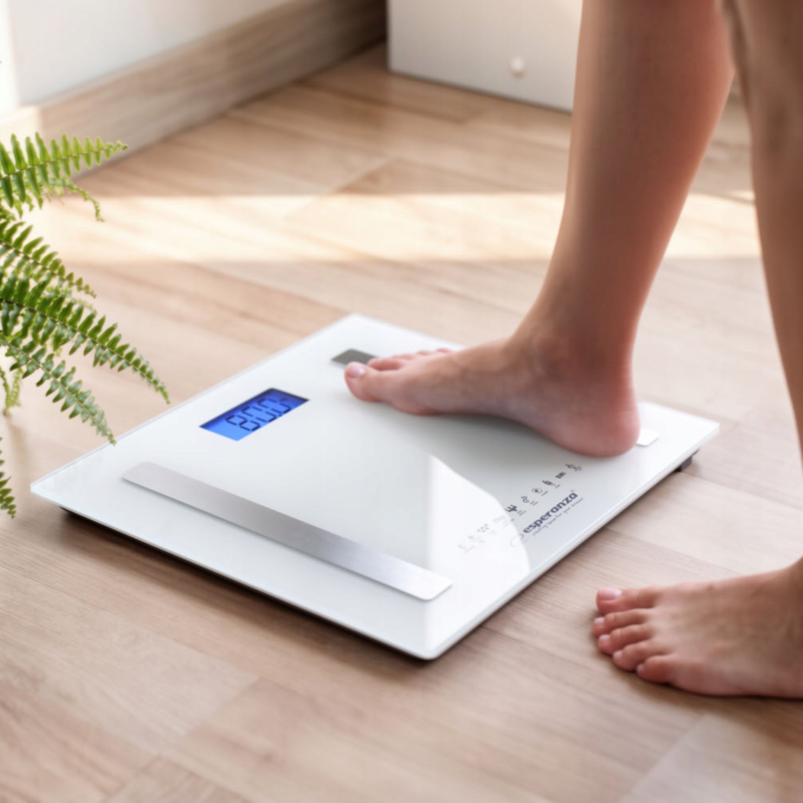 Bluetooth Analytical Bathroom Scale 8in1 180kg LCD Esperanza B.FIT White Manufacturer code ebs016w