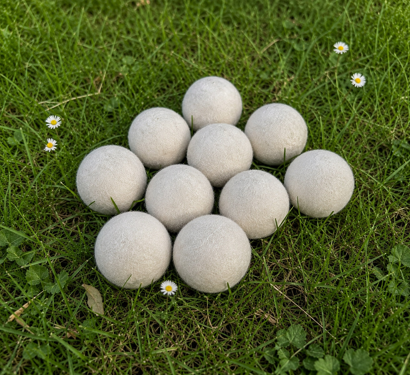 Bokashi balls 10pcs bacteria for ponds, lakes and ponds