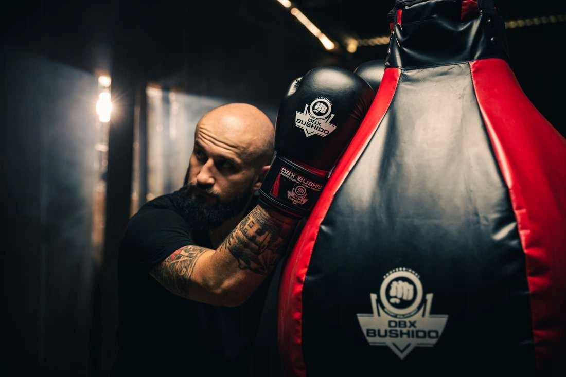 Boxing gloves 10oz - Classic Red - Origin series | DBX Bushido 127 Brand DBX BUSHIDO