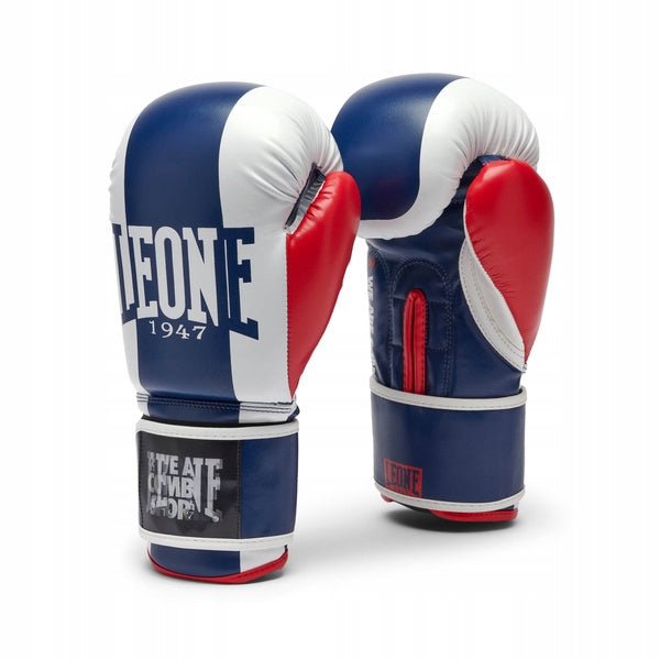 Boxing gloves Leone Color Block black
