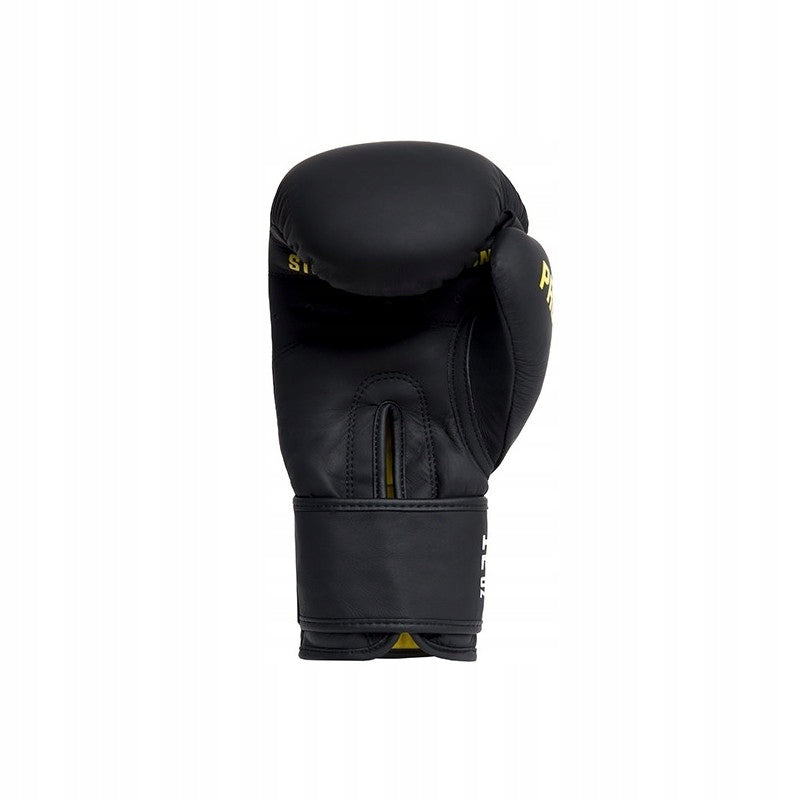 Boxing gloves StormCloud Boxing Pro black Brand Storm Cloud
