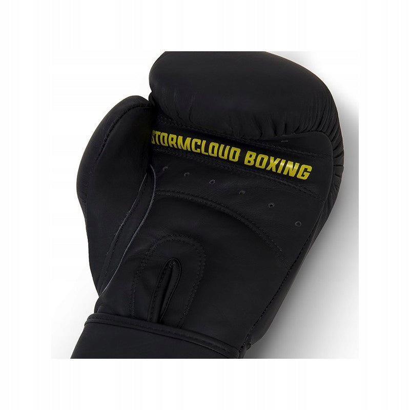 Boxing gloves StormCloud Boxing Pro black Weight of gloves 12 oz