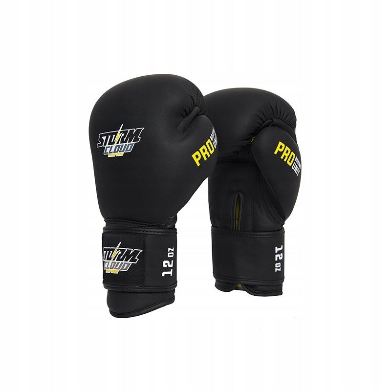 Boxing gloves StormCloud Boxing Pro black