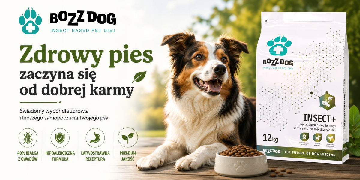 BozzDog Food 3 KG Hypoallergenic Insect+ Packaging status original