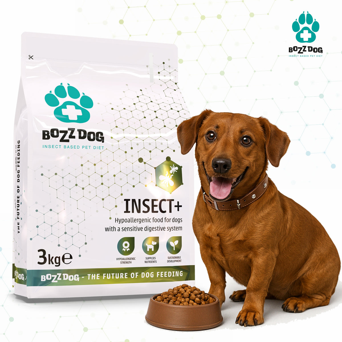 BozzDog Food 3 KG Hypoallergenic Insect+