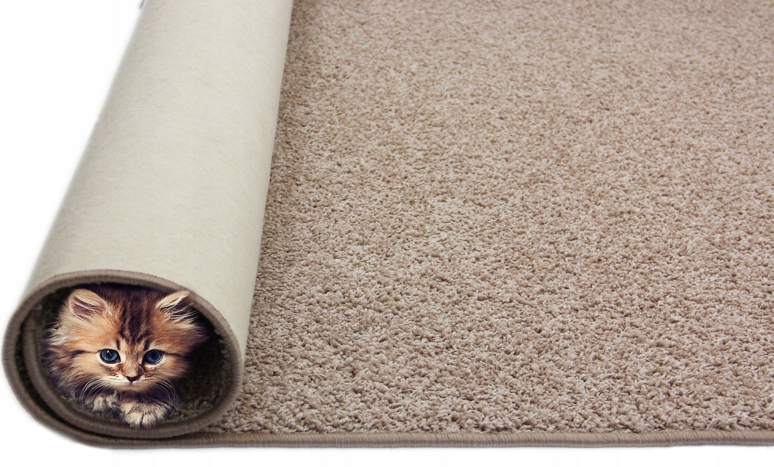 CARPET 2 CM TAMPA HAIRY SHAGGY BEIGE 120x160cm FOR LIVING ROOM SOFT Brand Elsimone Carpets