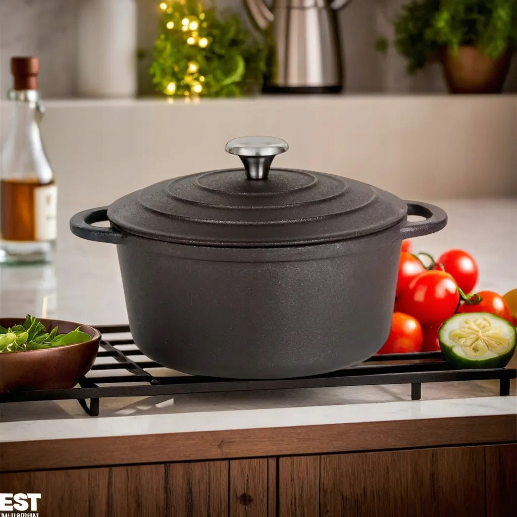 CAST IRON Pot 4,2 L for Baking Boiler BRYTFANNA 24cm Induction Gas Brand Krisberg