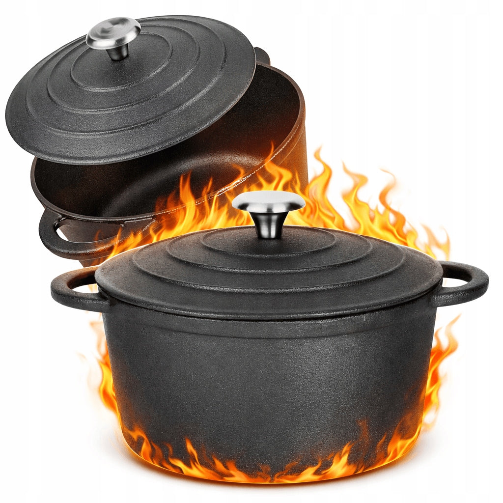 CAST IRON Pot 4,8 L for Baking Boiler PAN 26cm Induction Gas