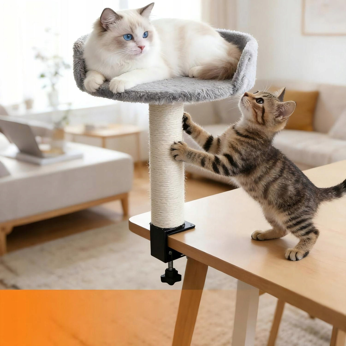 CAT BED FOR HANGING DESK WITH PILLOW AND SISAL POST Packaging status original