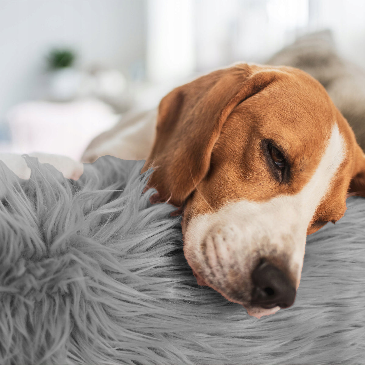 CAT DOG BED SOFT HAIRY BEDDING PILLOW SHAGGY LARGE 90 CM Manufacturer code 35259