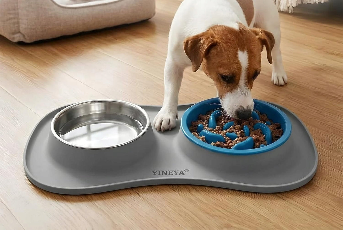 CAT DOG BOWL SET SILICONE MAT SLOWING BOWL Manufacturer code 5908455609517