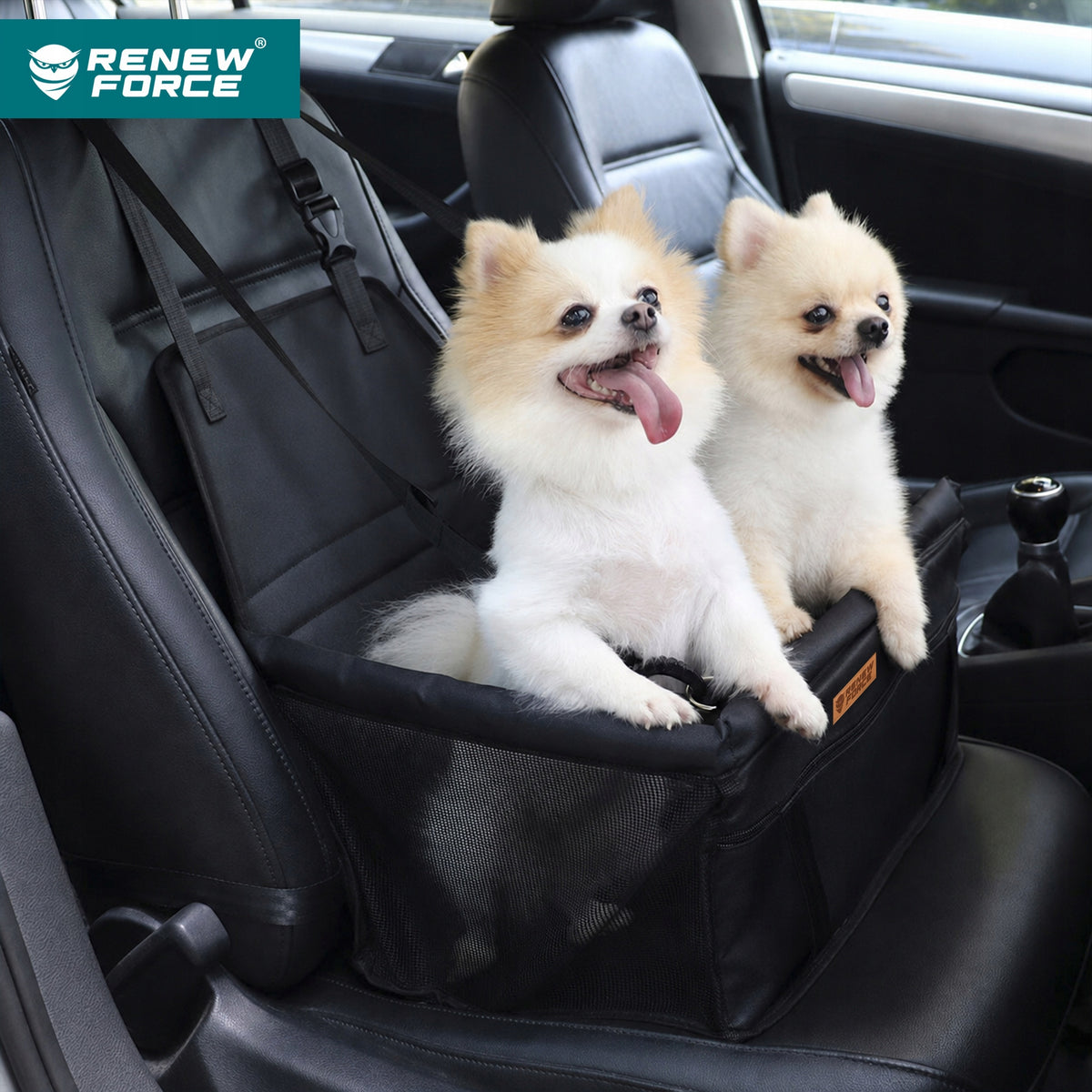 CAT DOG CAR SEAT TRANSPORTER SEAT WATERPROOF MAT Packaging status original