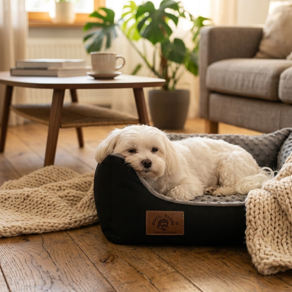 CAT DOG COUCH BED YORK 50 x 40 BED Brand Odol-Plusz
