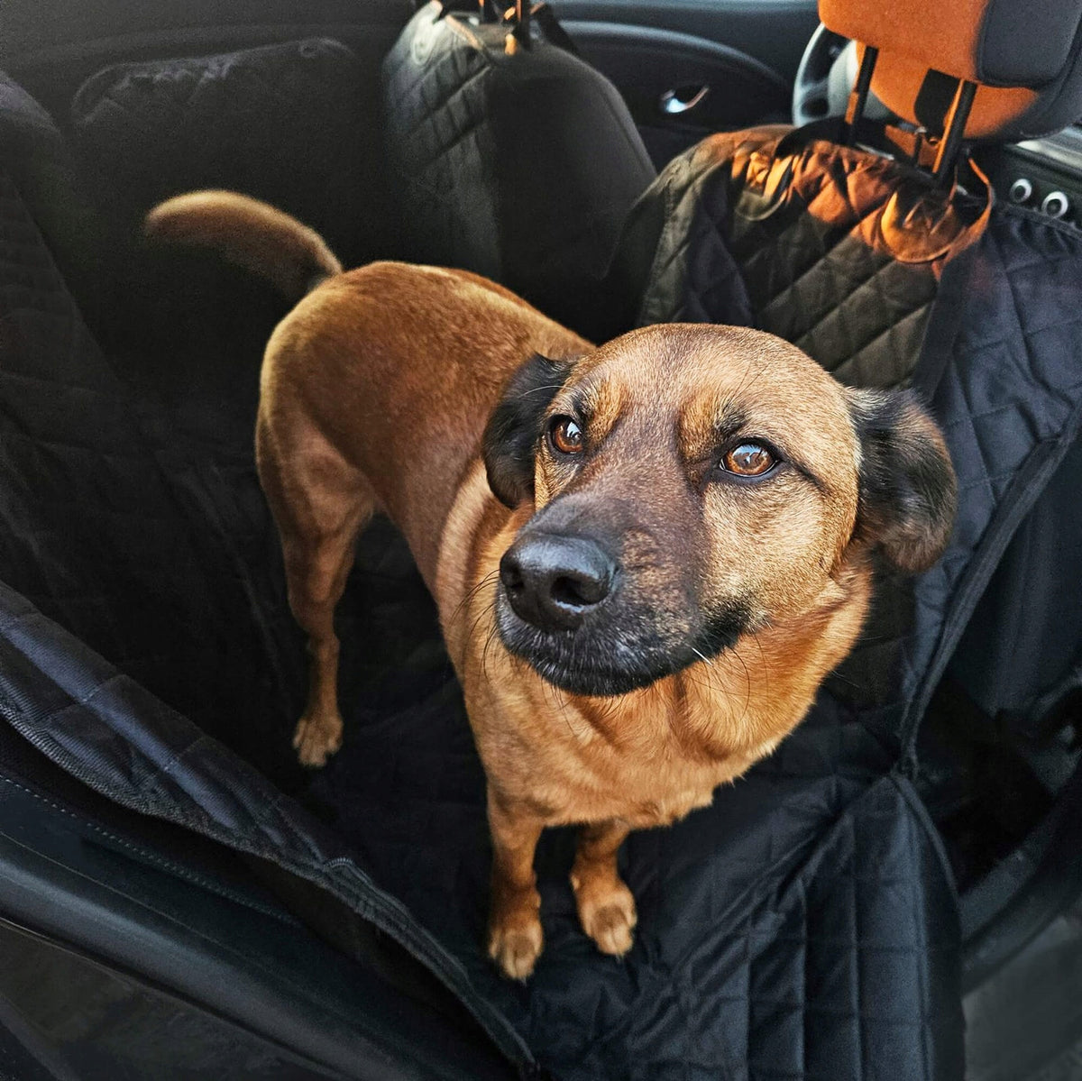 CAT DOG MAT FOR CAR TRUNK CAR SEAT WATERPROOF Manufacturer code PA1000
