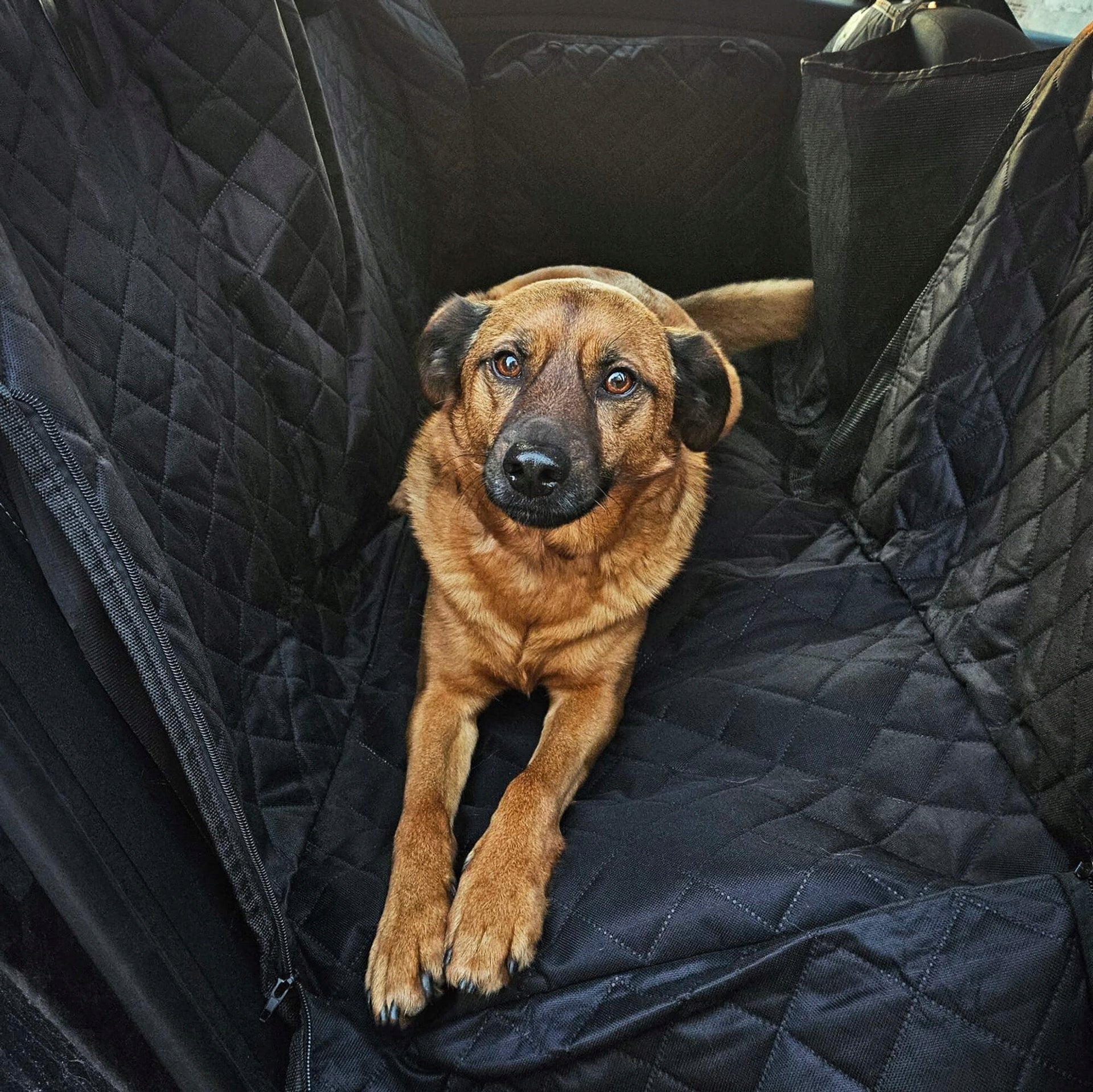 CAT DOG MAT FOR CAR TRUNK CAR SEAT WATERPROOF Packaging status original