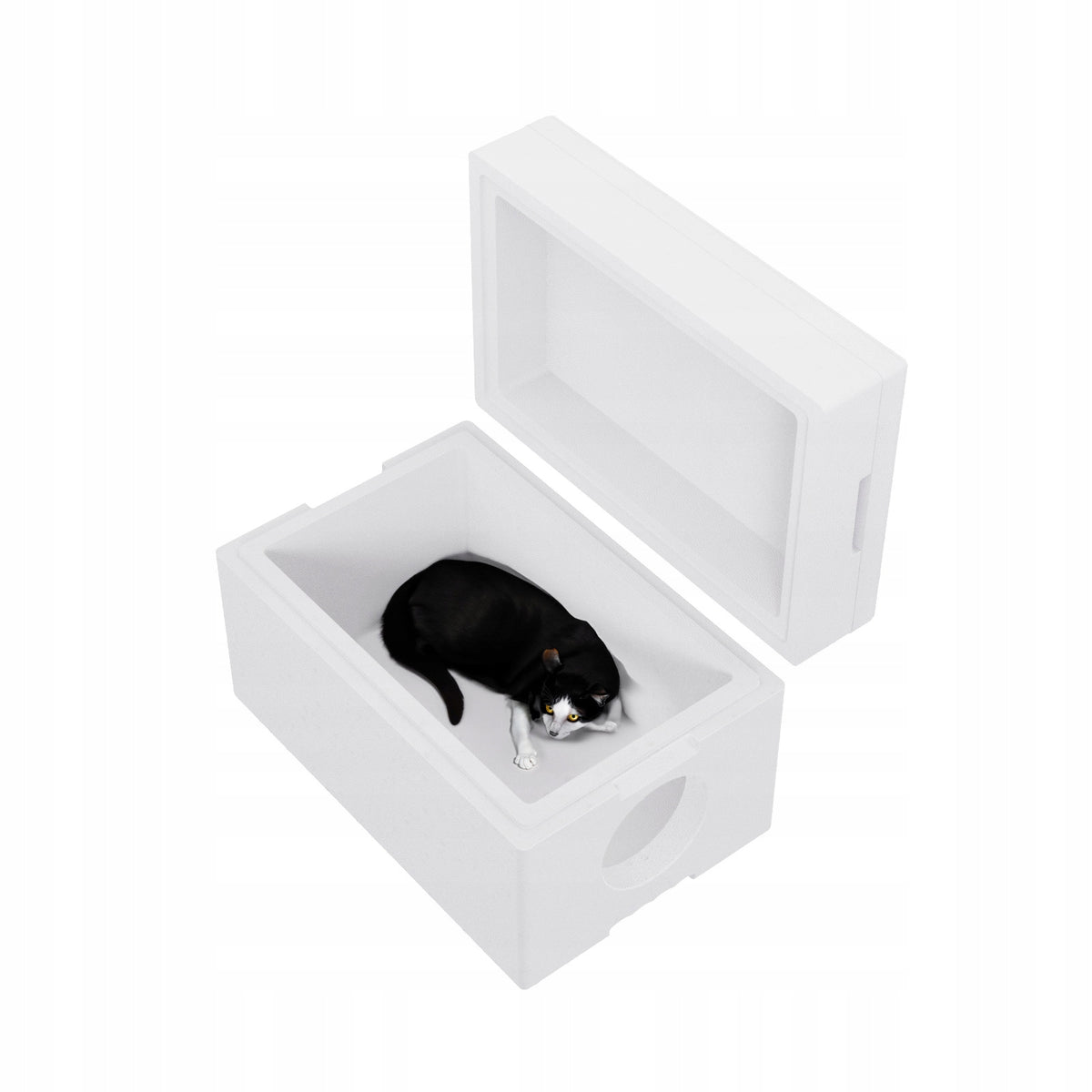 CAT HOUSE KENNEL STYRIOPIAN INSULATED SHELTER