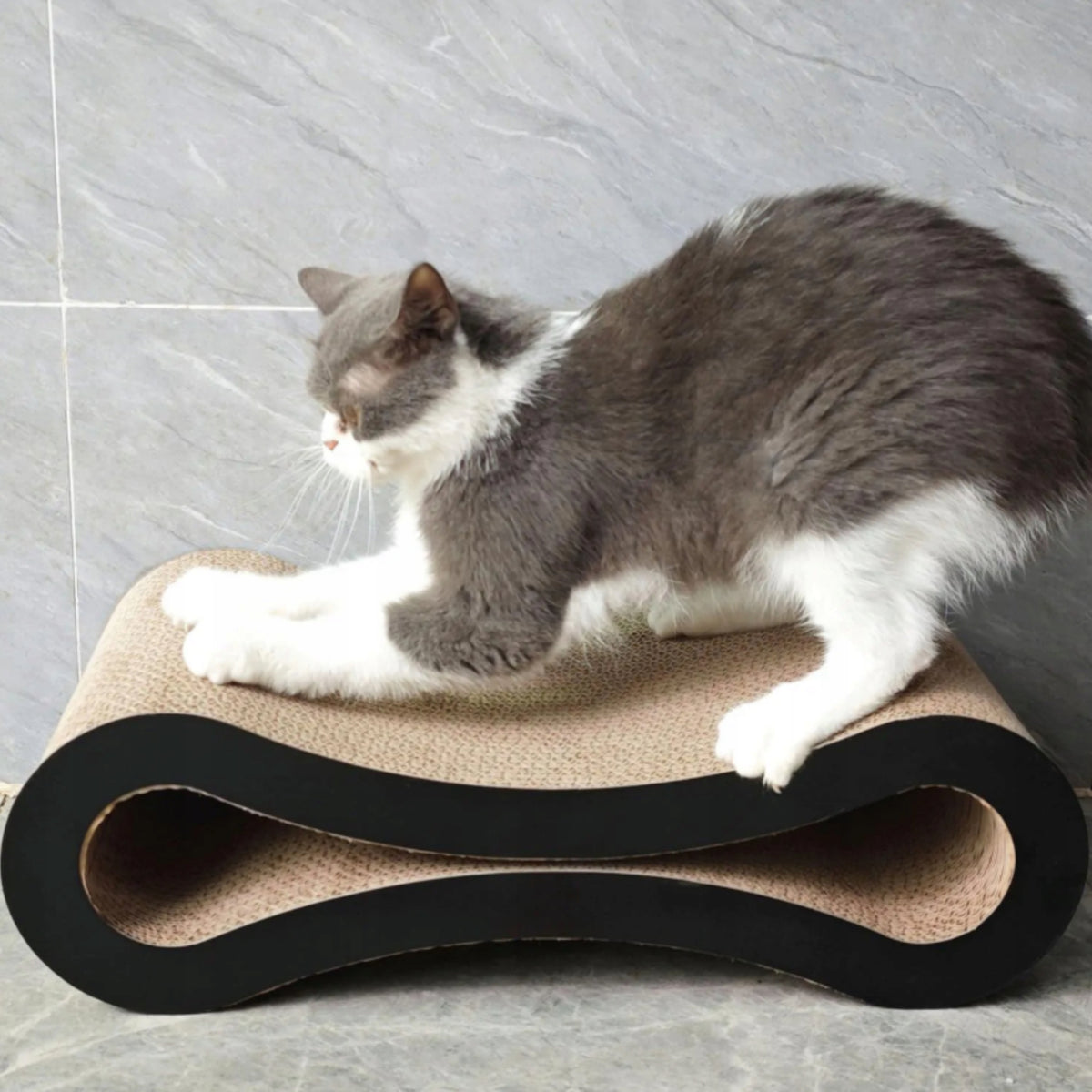 CAT SCRATCHER CARDBOARD BED 56cm LARGE CATS DESIGN NUXIE Packaging status original