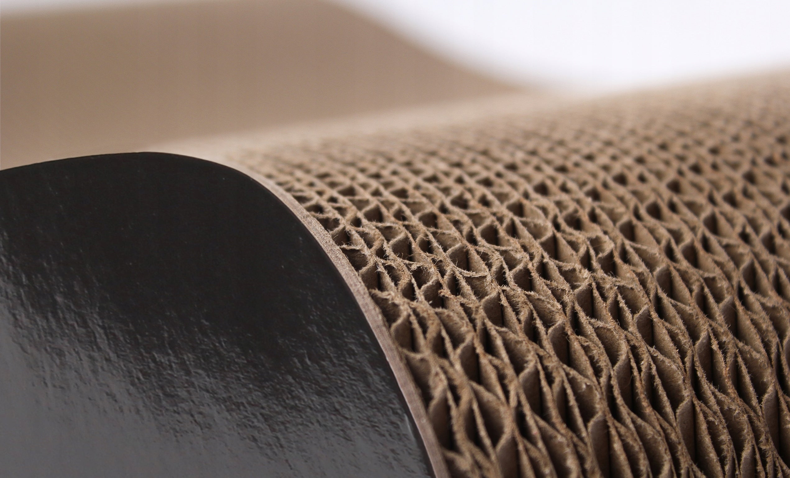CAT SCRATCHER CARDBOARD LARGE BED 71x21x25 cm HomeCatty Packaging status original