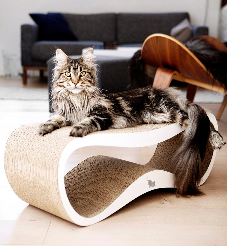 CAT SCRATCHER CARDBOARD LARGE BED 75x26x25 cm MYKOTTY Height (cm) up to 60 cm