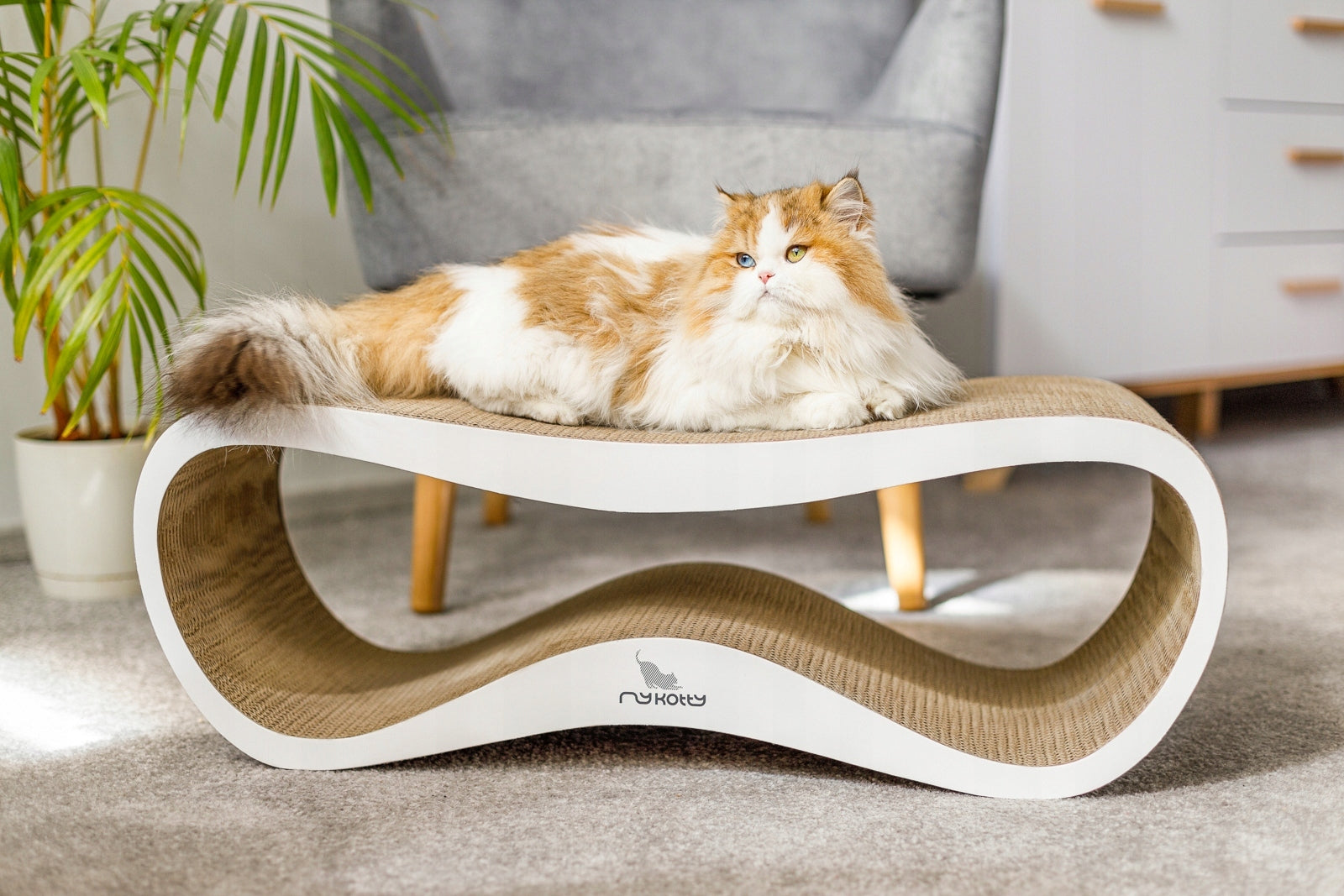 CAT SCRATCHER CARDBOARD LARGE BED 75x26x25 cm MYKOTTY Packaging status original