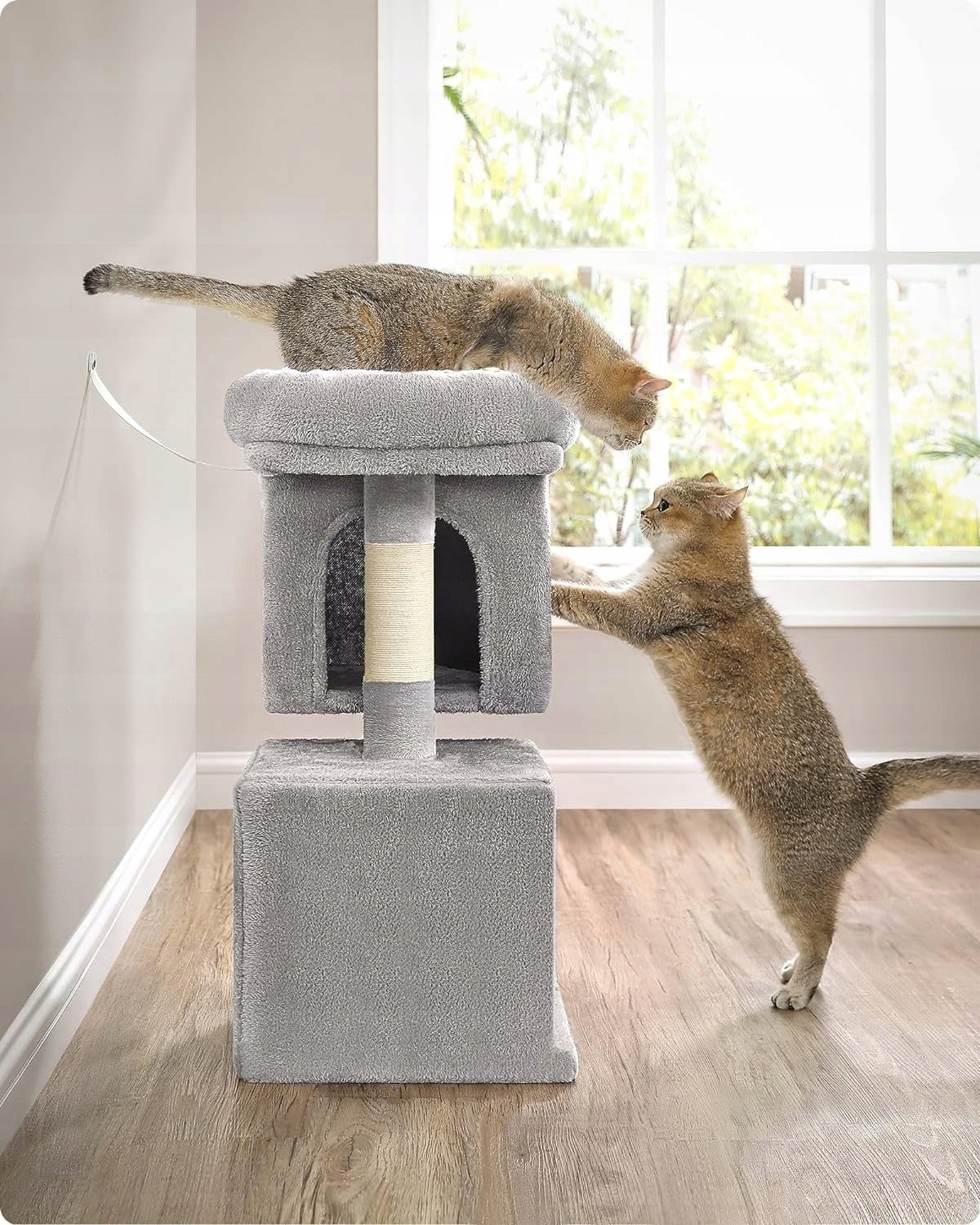 CAT SCRATCHER SMALL BED HOUSE CAVE POST SUN LOUNGER 2 LEVELS 67cm Number of levels 2