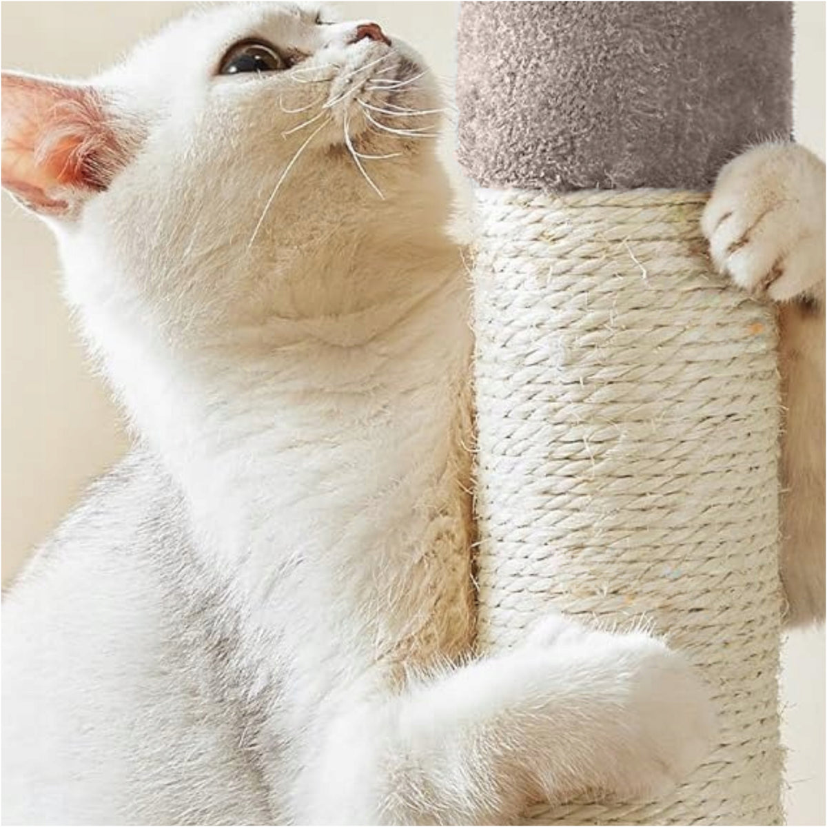 CAT SCRATCHER WITH HOUSE SCRATCHING POST PLATFORM 45x28x53 CM EAN (GTIN) 5902340684757