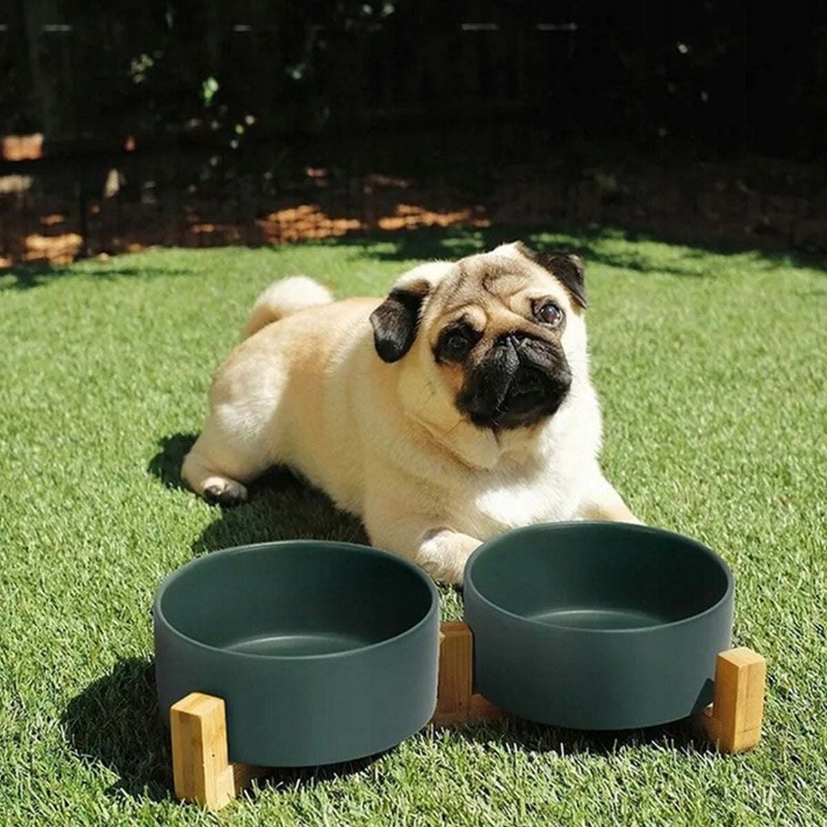 CERAMIC BOWL FOR CAT DOG ON STAND DOUBLE SET 2x400ml Packaging status original