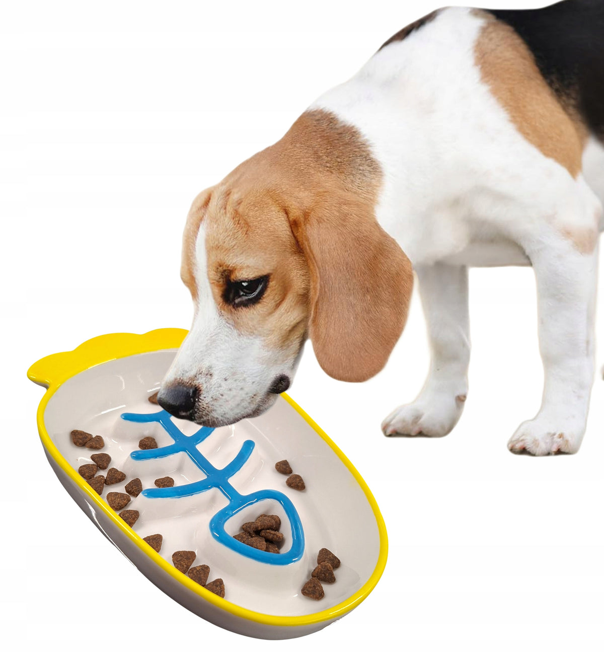 CERAMIC DOG BOWL FOR SMALL DOGS TO EAT AND DRINK