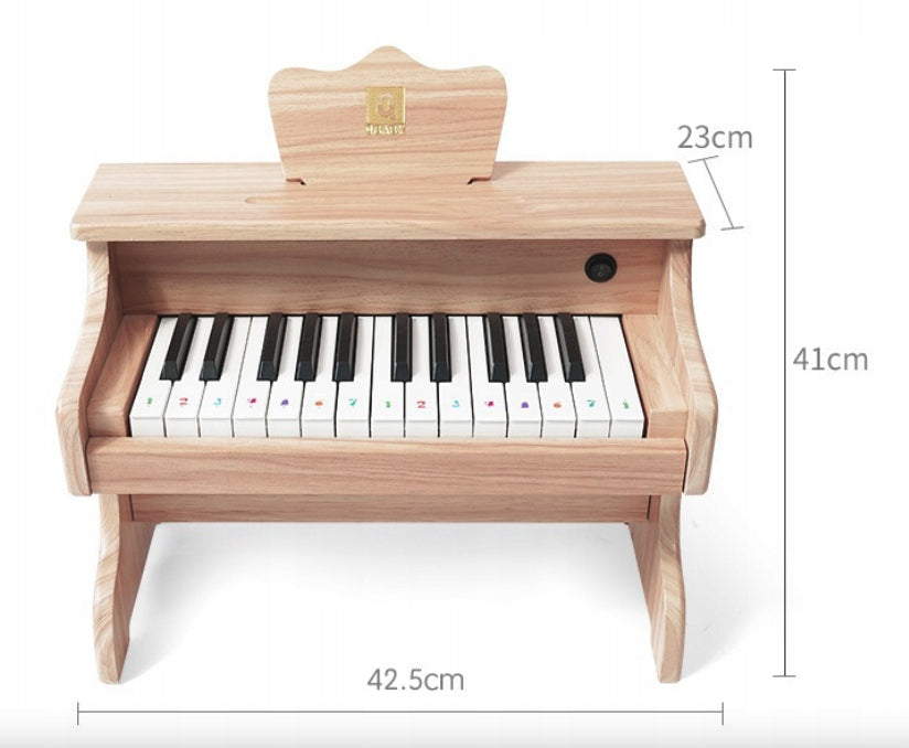 CHILDREN'S PIANO FOR CHILDREN WOODEN INSTRUMENTS Brand Pan i Pani Gadżet