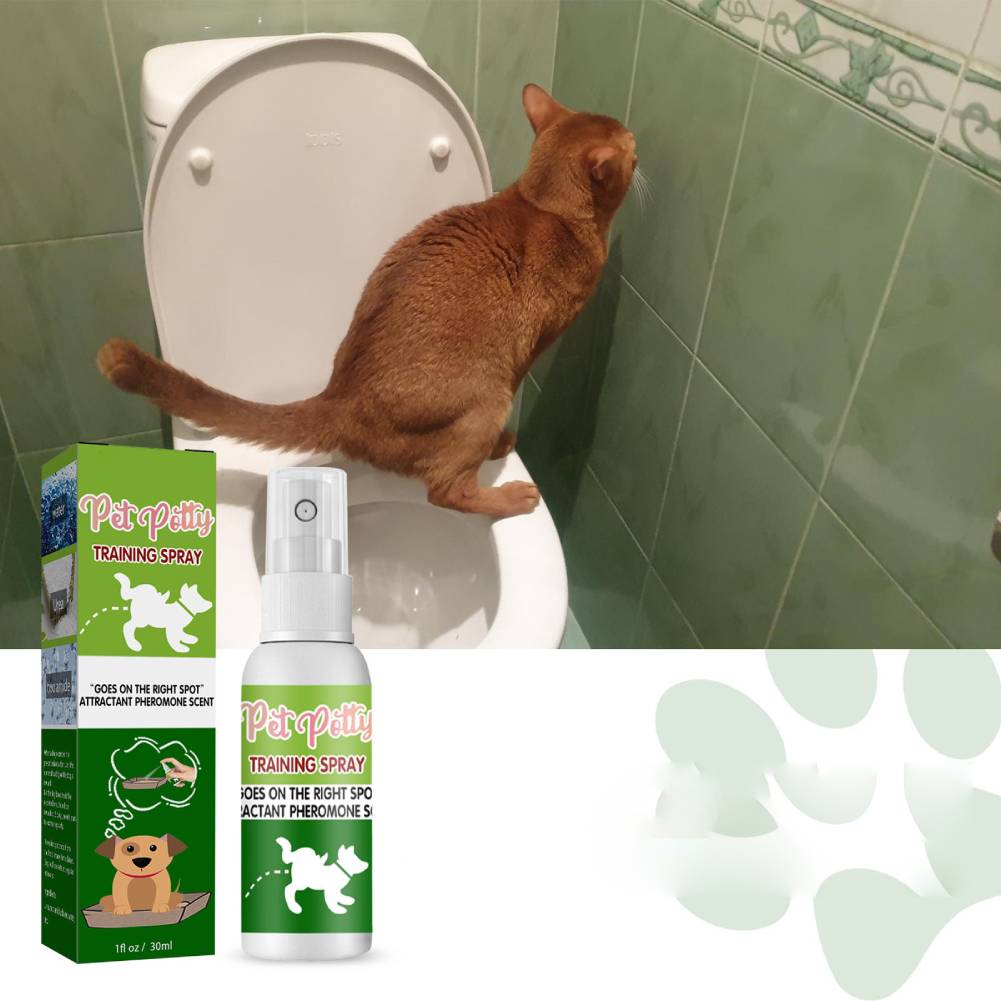 CLEANING LEARNING SPRAY FOR PUPPIES 30ML PORTABLE Packaging status original