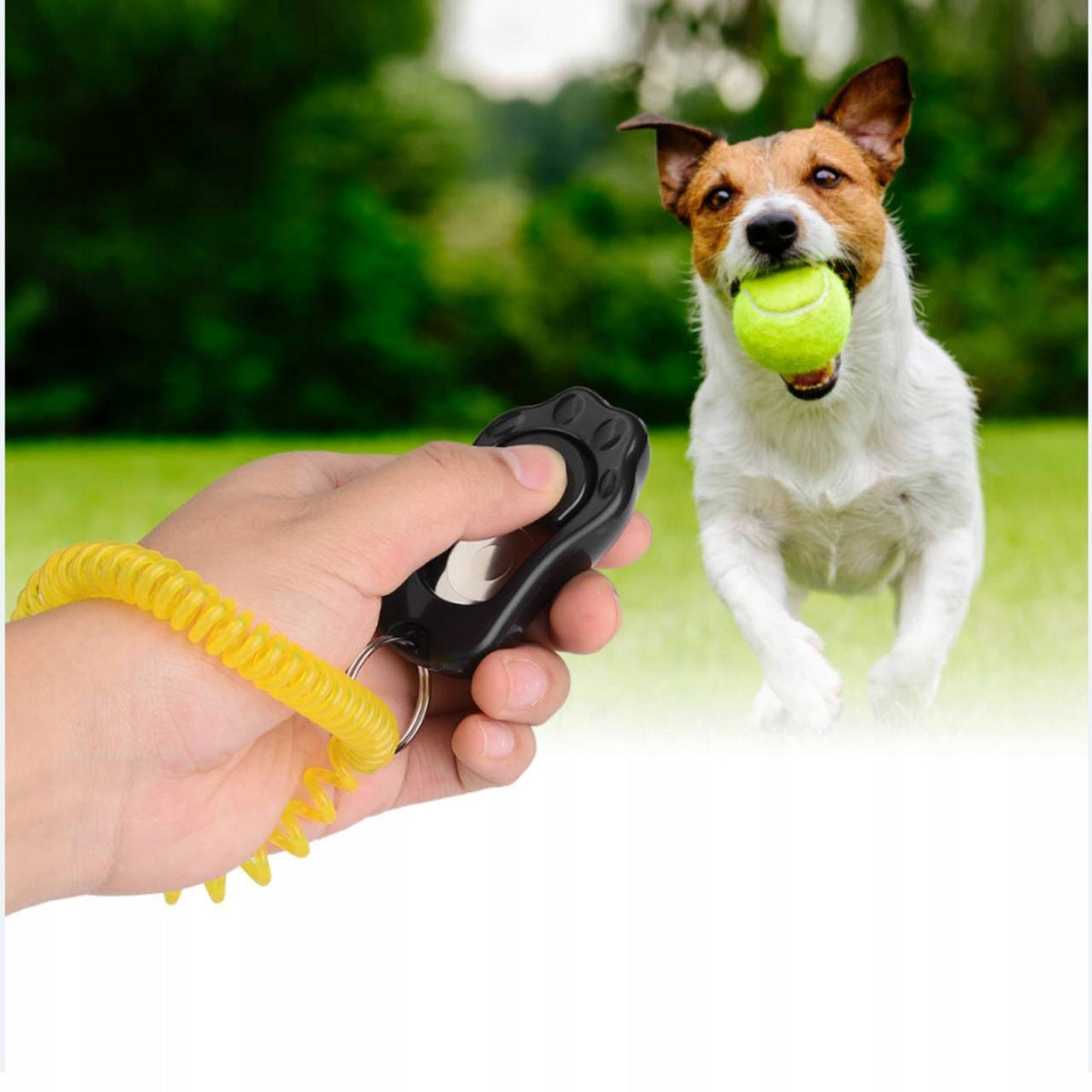 CLICKER FOR TRAINING DOG TRAINING Manufacturer code JTABD4591