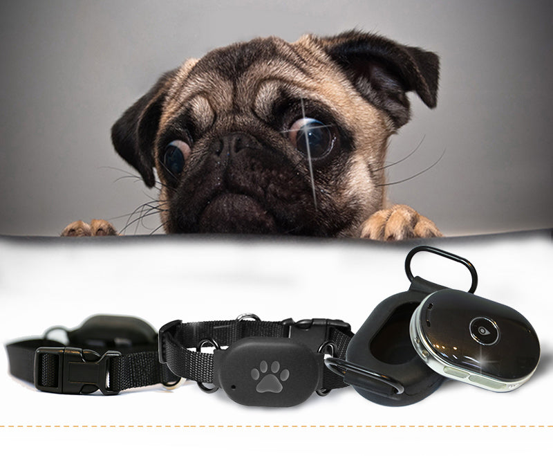 COLLAR LOCATOR GPS FOR PETS DOG CAT APP FREE OF CHARGE AND SUBSCRIPTION Manufacturer code Lokalizator GPS dla zwierząt C001 V7
