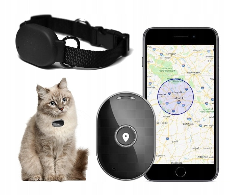 COLLAR LOCATOR GPS FOR PETS DOG CAT APP FREE OF CHARGE AND SUBSCRIPTION