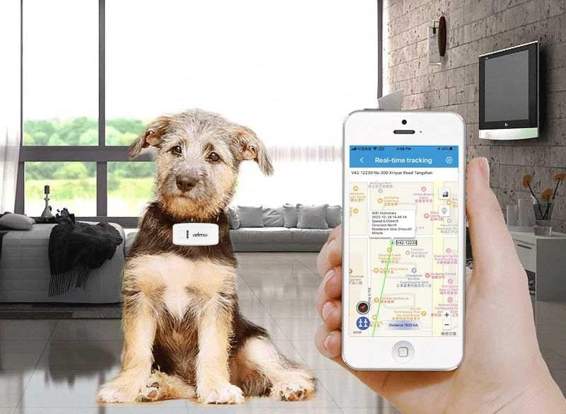 COLLAR LOCATOR GPS TK909 FOR PETS DOG CAT SAUCE APP WITHOUT SUBSCRIPTION EAN (GTIN) 5900009438079