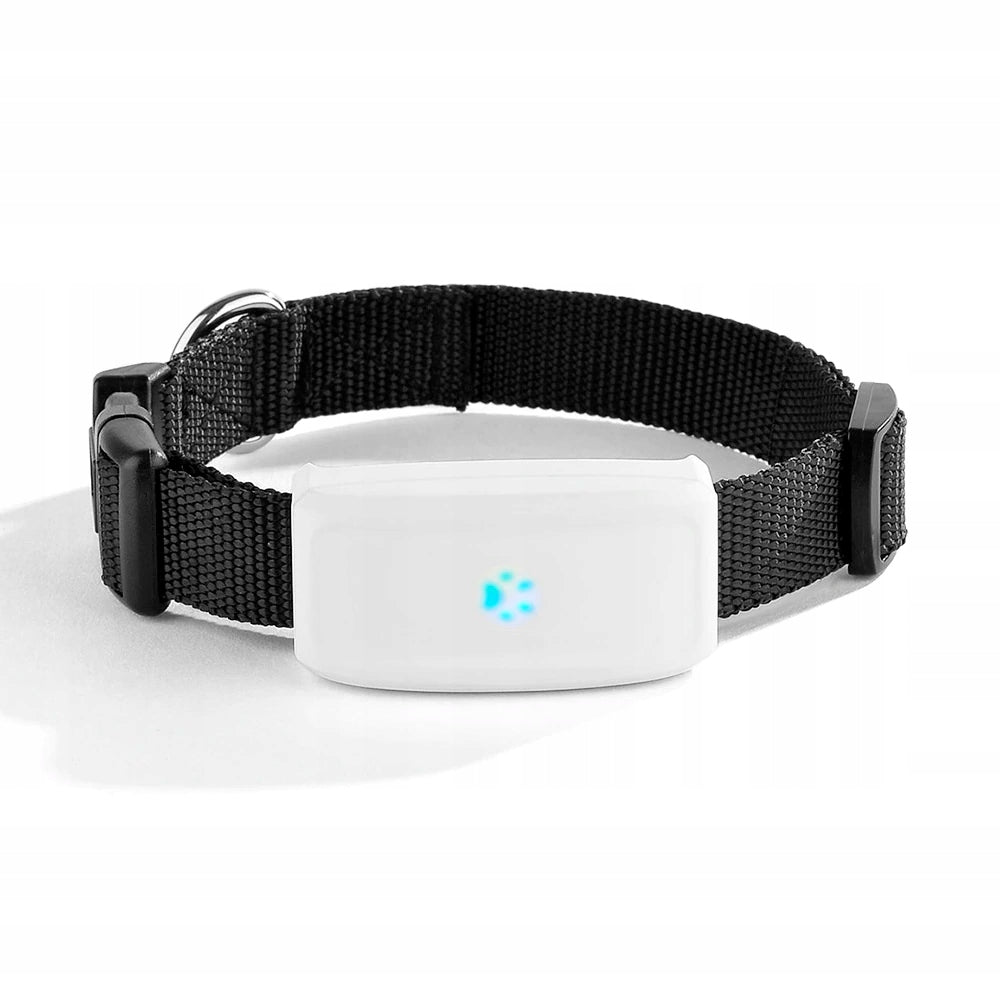 COLLAR LOCATOR GPS TK911 FOR PETS DOG CAT SAUCE APP WITHOUT SUBSCRIPTION