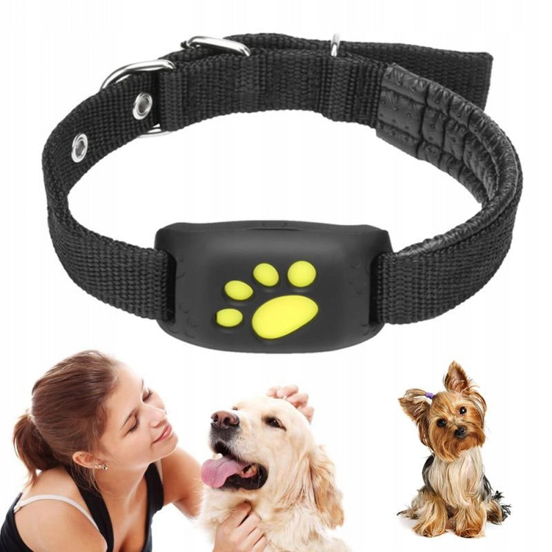 COLLAR LOCATOR GPS Z8 FOR ANIMALS DOG CAT APP