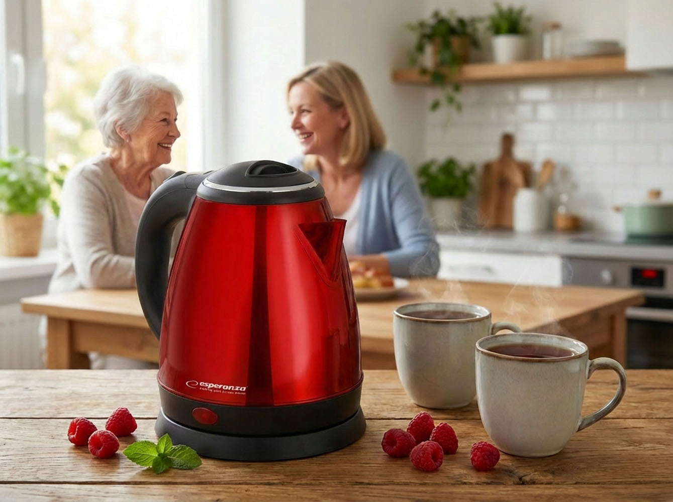 CORDLESS ELECTRIC KETTLE SMALL 1L 1350W STEEL ESPERANZA Manufacturer code KEKE128R
