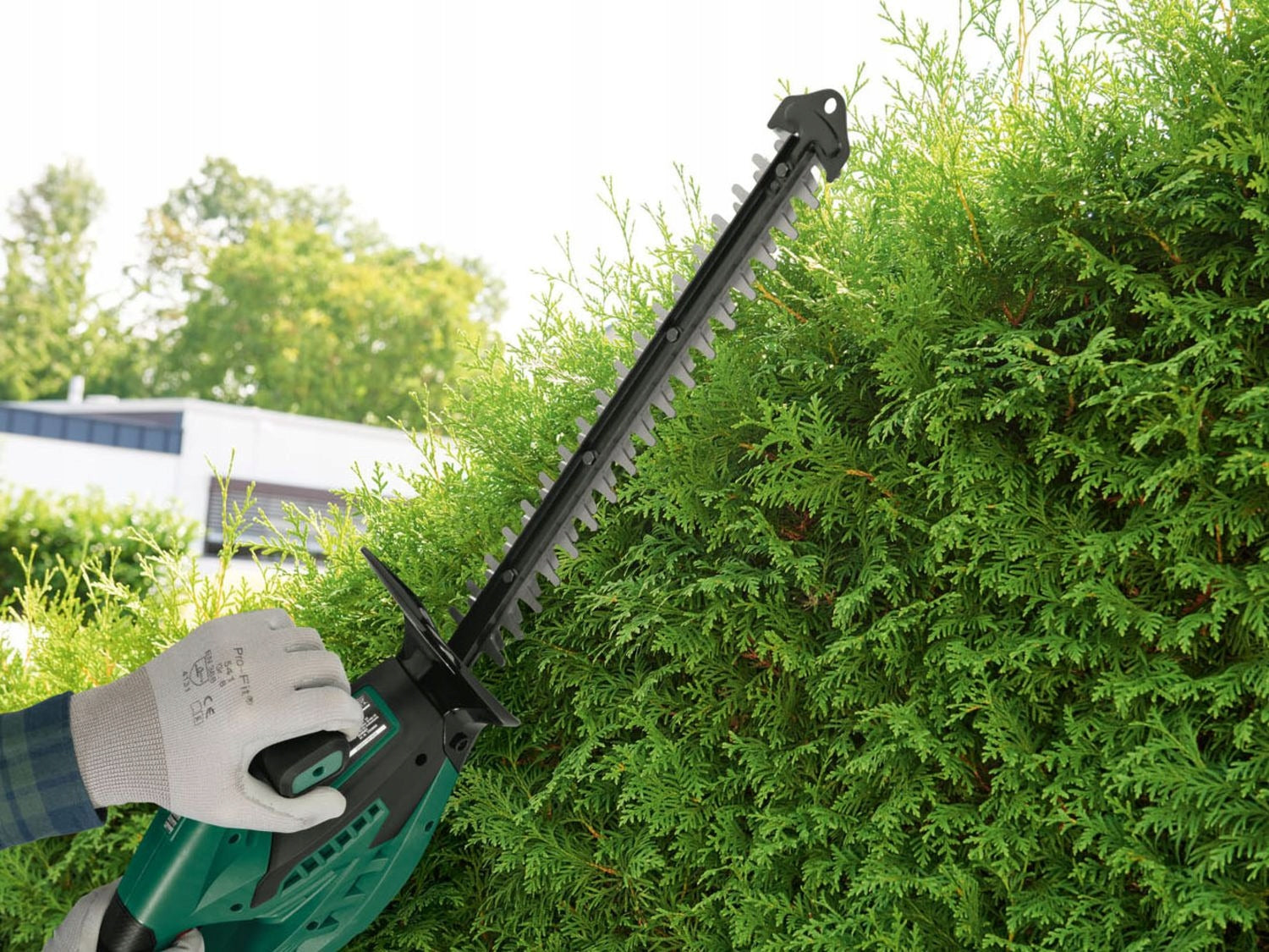 CORDLESS SHRUB SHEARS 12V PARKSIDE HEDGE WIRELESS 12V Brand Parkside