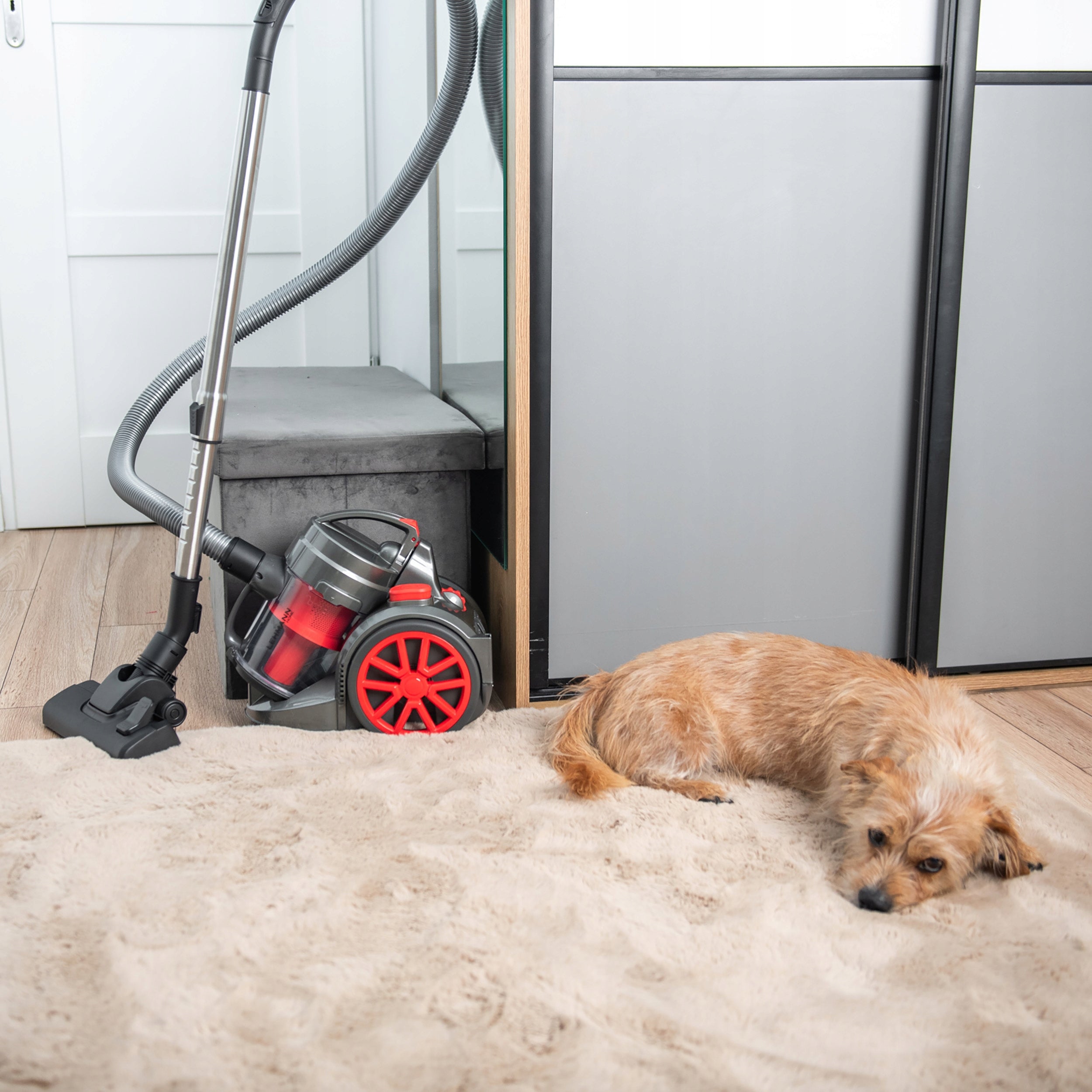 CYCLONE VACUUM CLEANER BAGLESS TURBO BRUSH ADJUSTMENT RETRACTOR POWERFUL 4000W Power rating 700 W