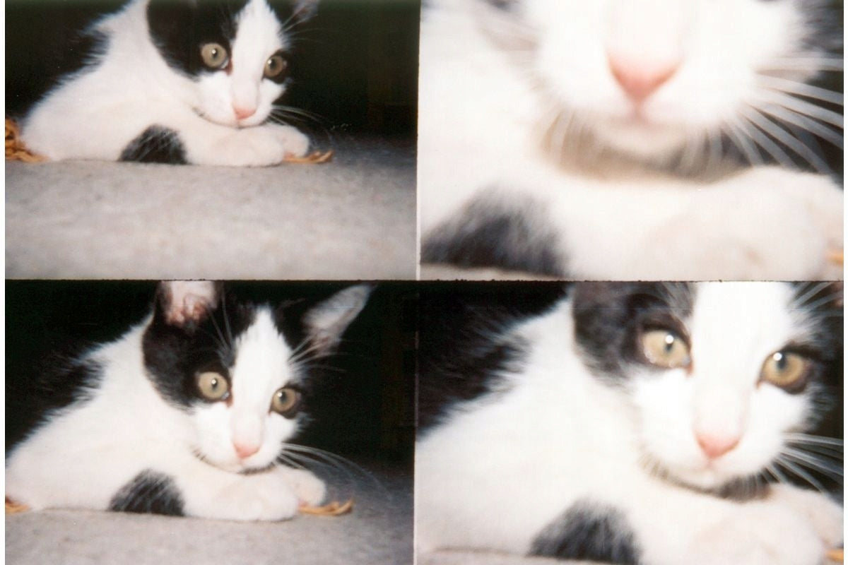 Camera Lomography Analog Camera ActionSampler Clear Brand Lomography