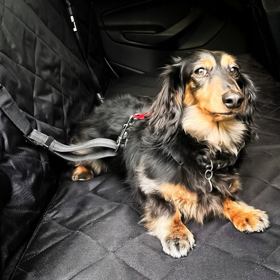 Car mat for Dog plastic universal black 142 x 142 Manufacturer code Mata ochronna do samochodu dla psa na tylne