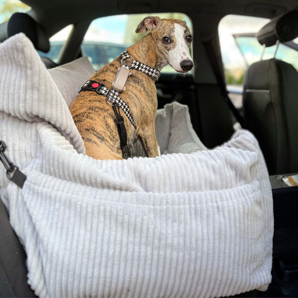Car seat, dog carrier, car seat, car bed FREEBIE Manufacturer code COMFI XXL SZTRUKS JASNY SZARY