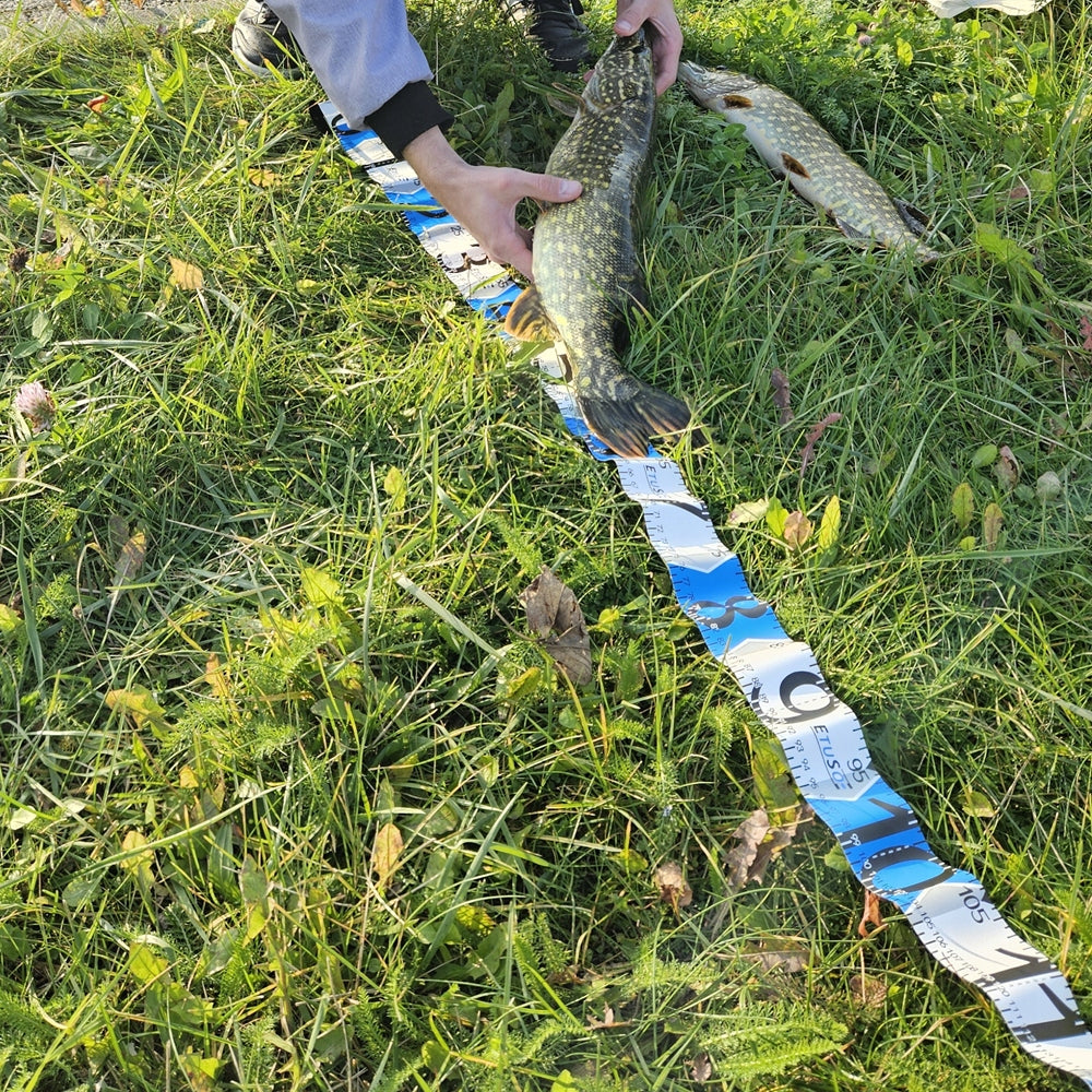 Carp Fishing Scale 50kg + Measure 138cm Fishing Measuring Set Manufacturer code Scale-Measure-1A